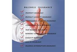 Business Insurance Policy information