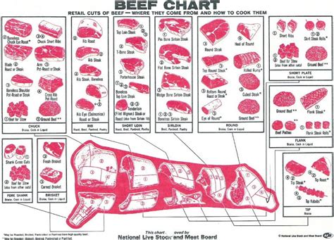 Butcher Chart Beef