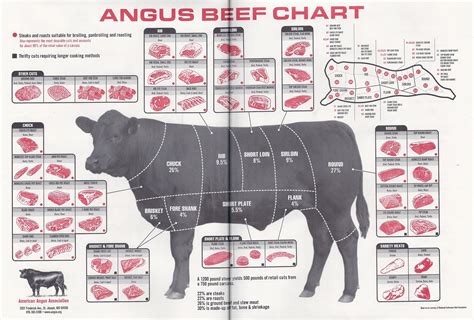 Butchers Beef Cut Chart