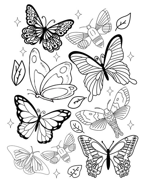 Butterfly Coloring Sheets Free Printables