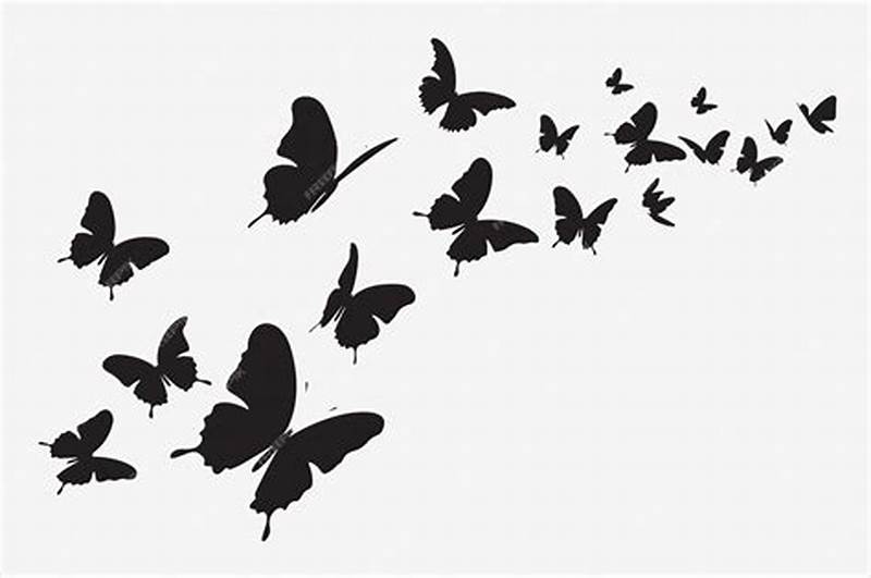 Butterfly Flight Pattern