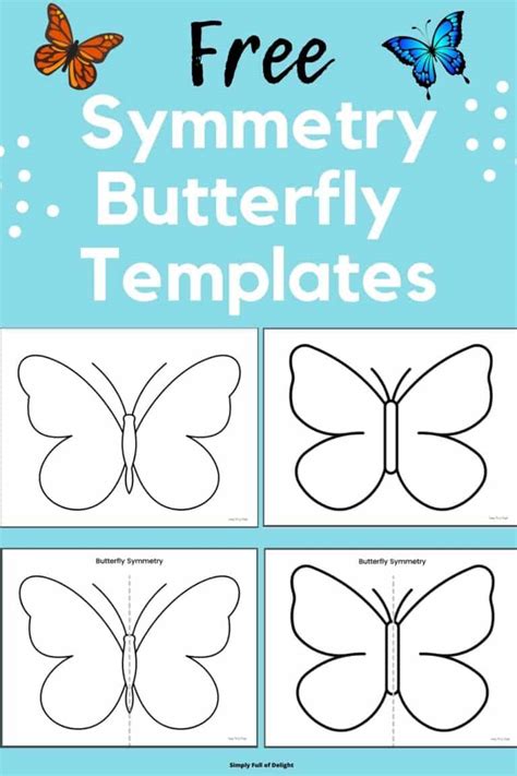 Butterfly Symmetry Template