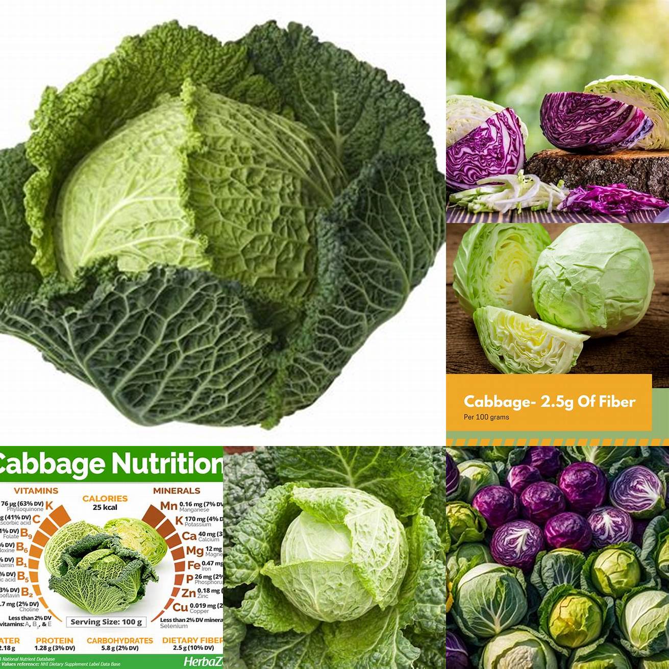 Cabbage can be a good source of fiber for cats which can help support their digestive health