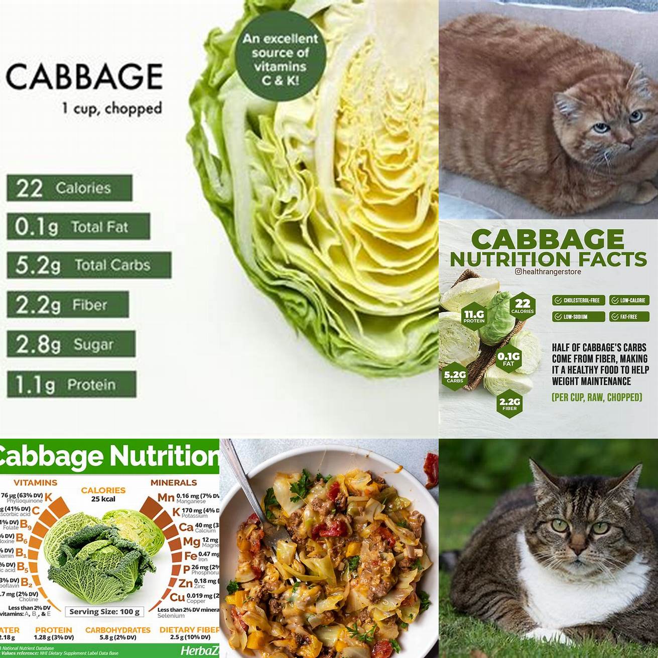 Cabbage is low in calories and can be a healthy snack for overweight or obese cats