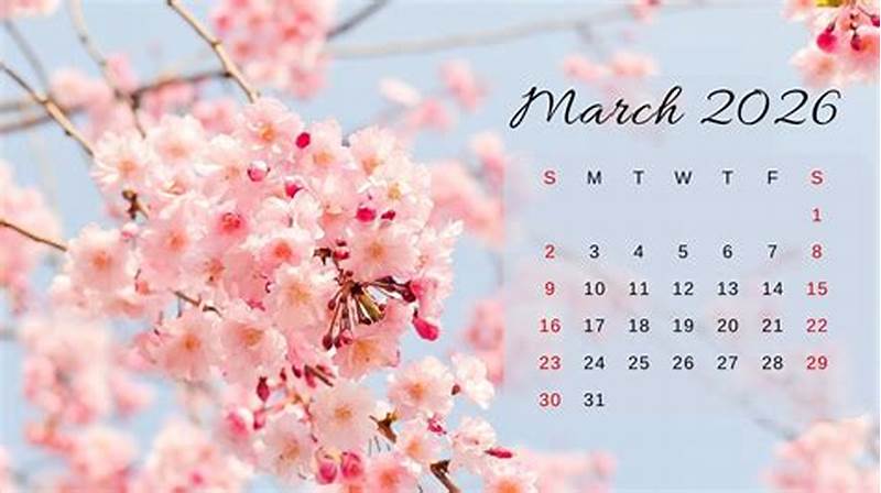 Calendar Computer Background