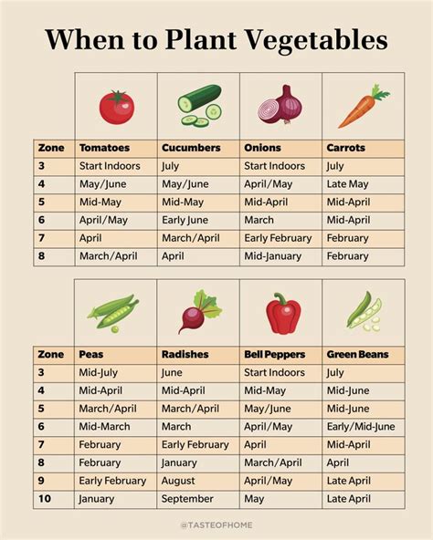 Calendar When To Plant Vegetables Chart
