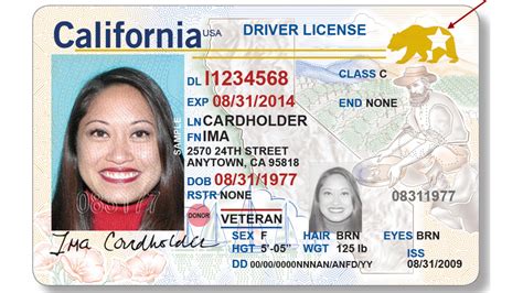 California Real Id Template