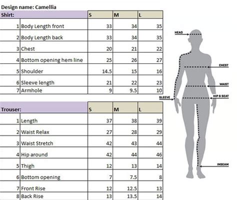 Camellia Size Chart
