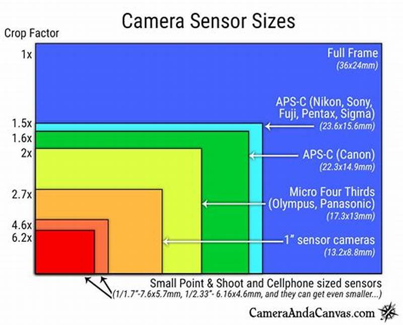 Camera Sensor Sizes Chart