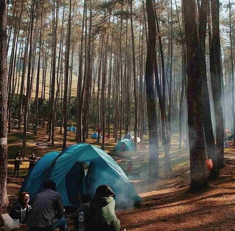 Camping di Hutan Raya Bandung