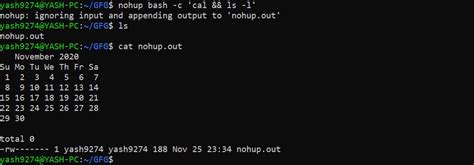 Can I change the name of nohupout