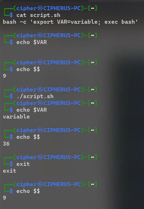 Can I export a variable to the environment from a Bash script without sourcing it