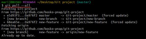 Can git pull --all update all my local branches