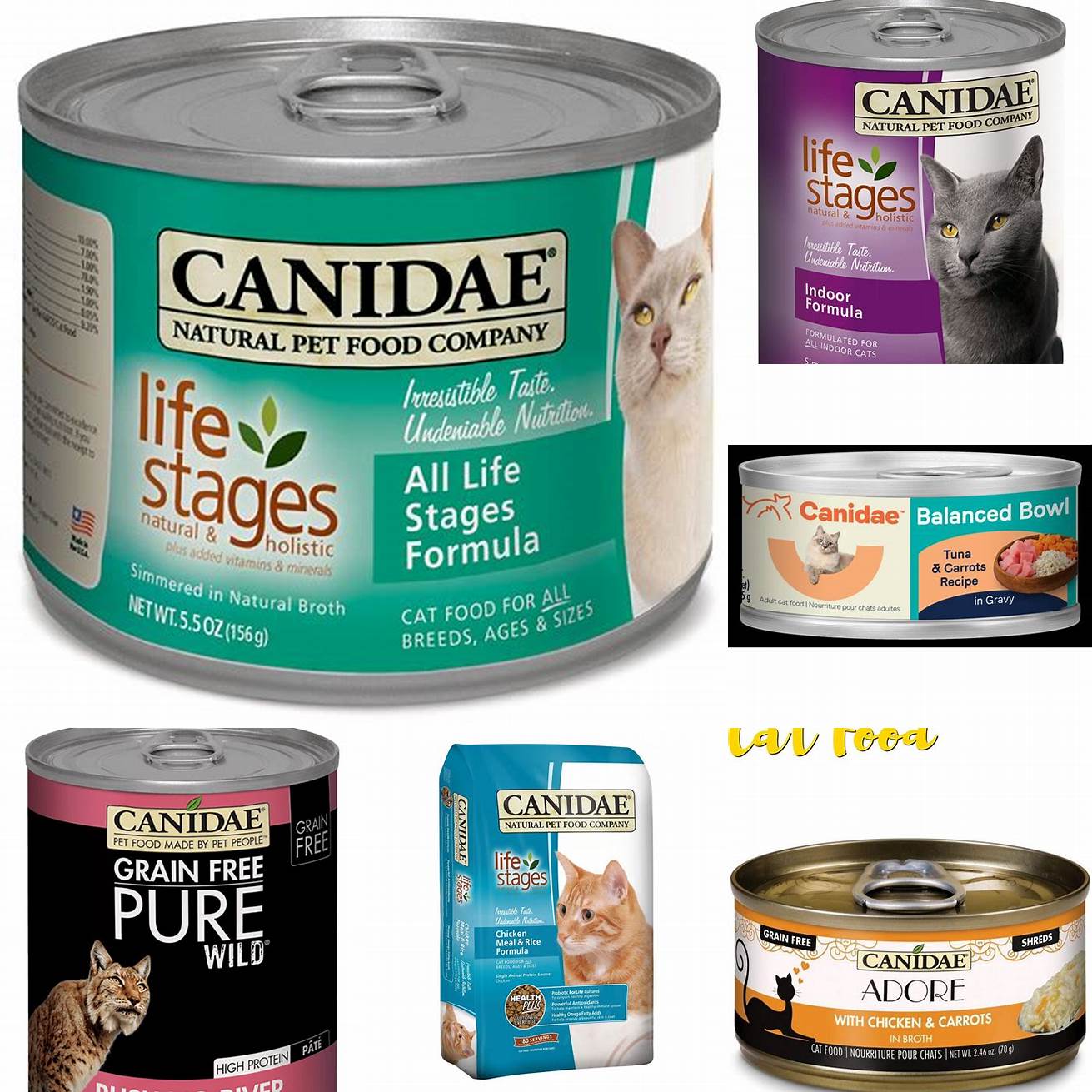 Canidae Wet Cat Food comes in a range of flavors that your cat is sure to love