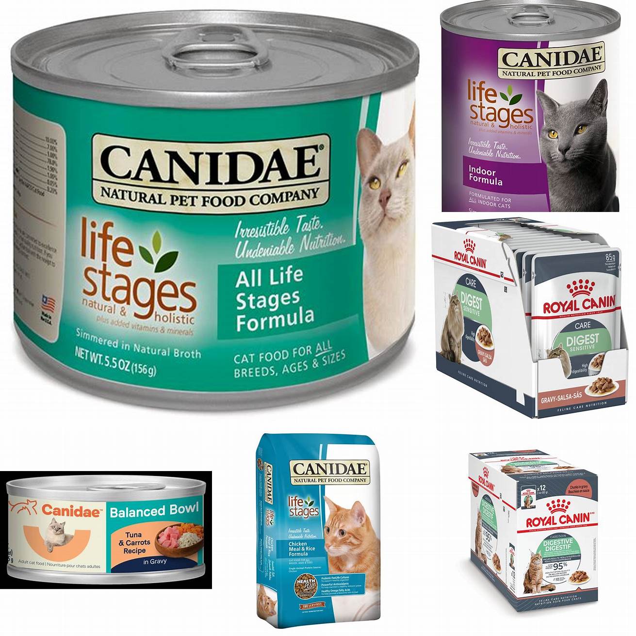 Canidae Wet Cat Food is easy to digest which makes it an ideal choice for cats with digestive issues