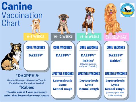 Canine Vaccine Chart