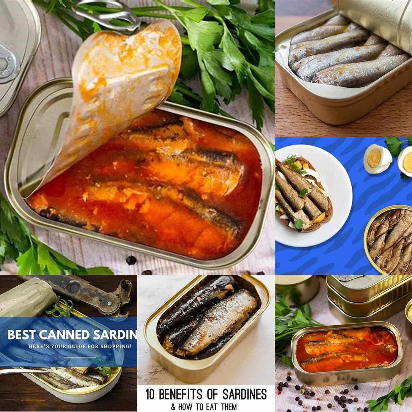 Canned sardines are easy to digest which makes them a great food option for cats with digestive issues