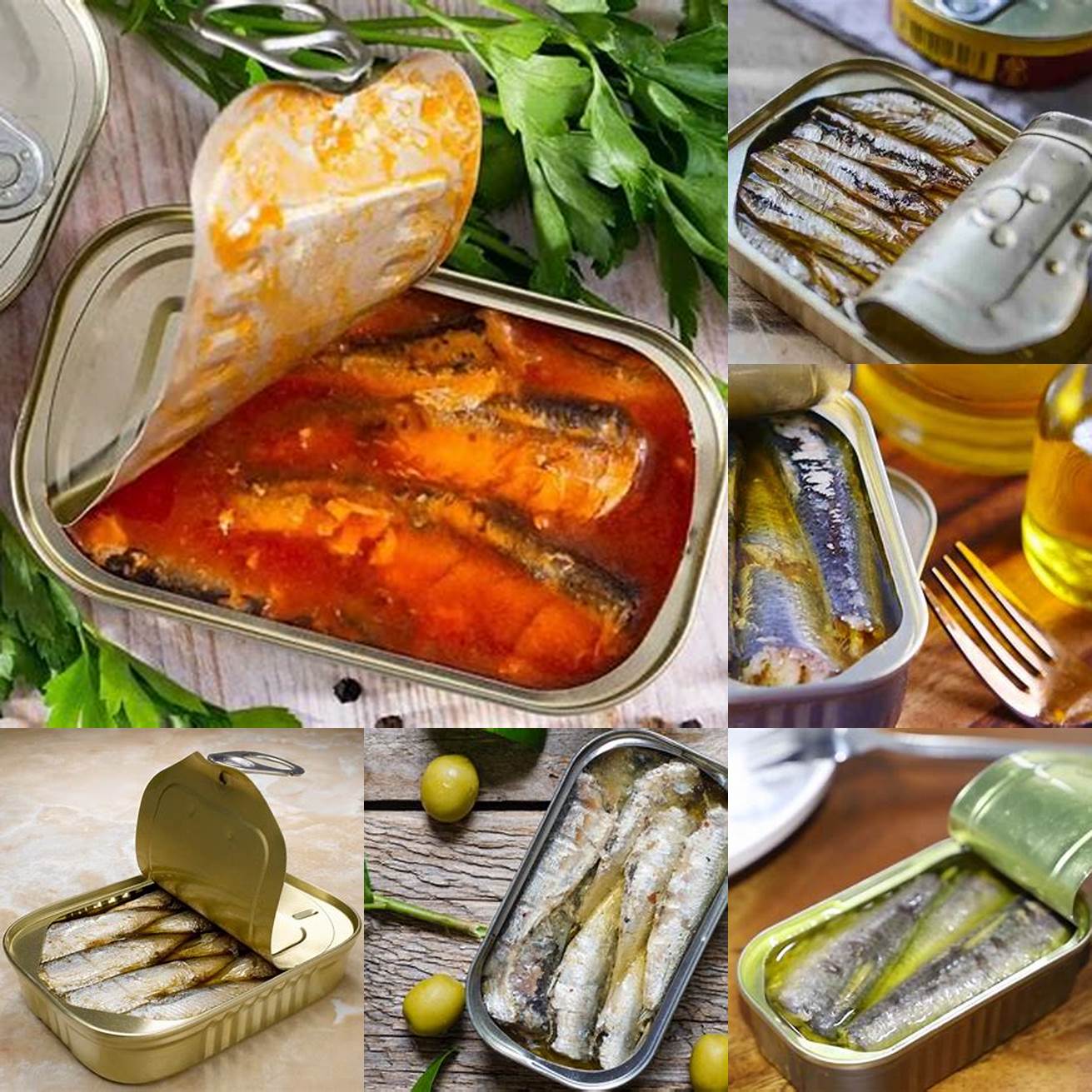 Canned sardines can help improve your cats joint health