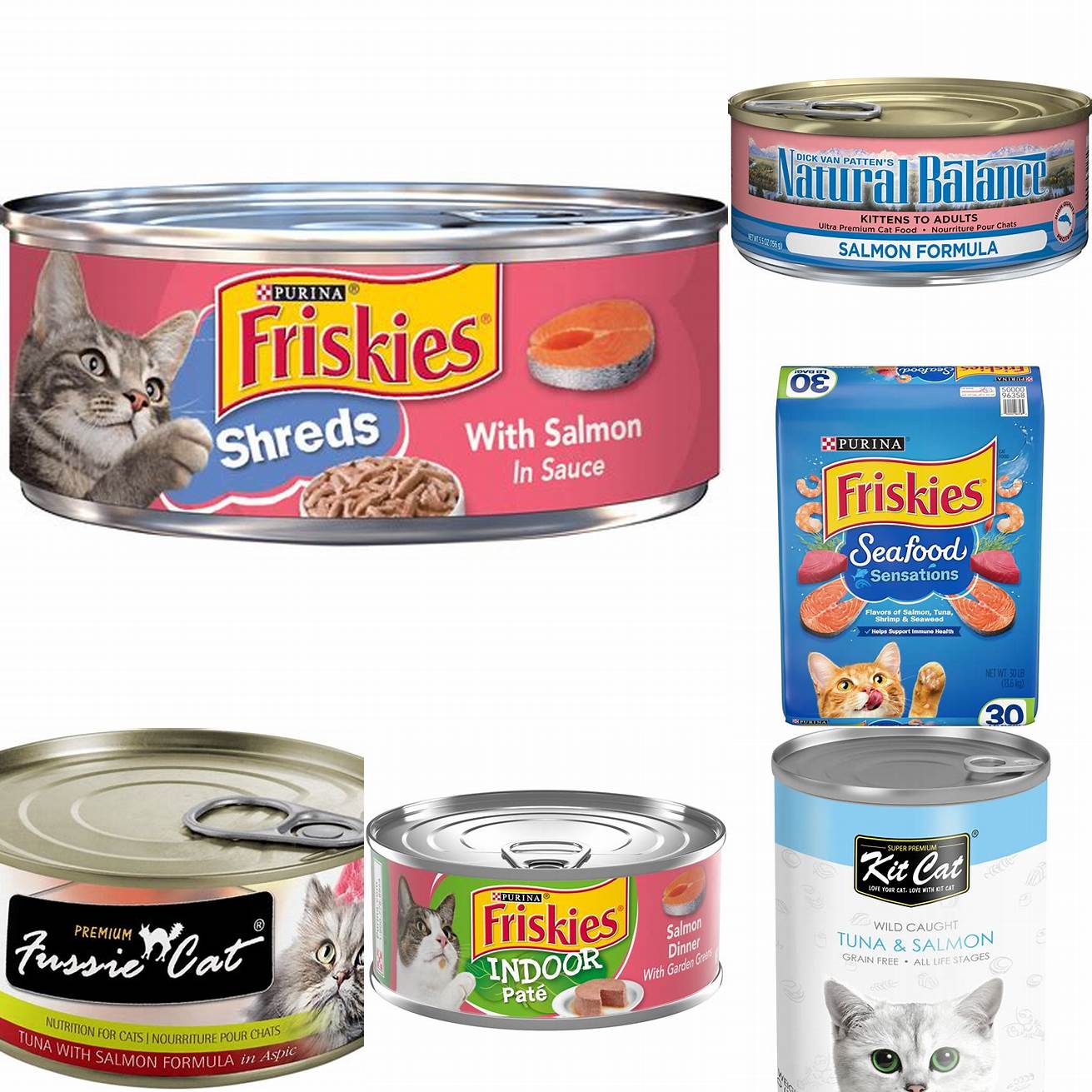 Canned tuna or salmon