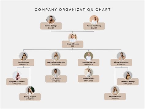 Canva Org Chart Template