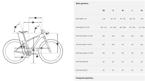 Canyon Mtb Size Chart