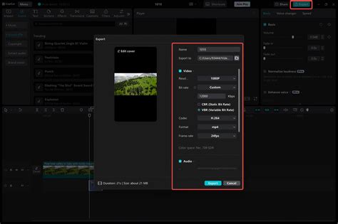 Export Settings