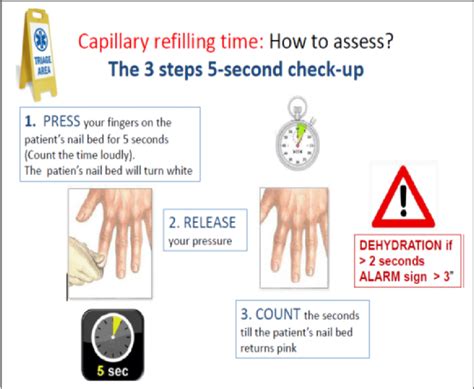 Capillary Refill Chart