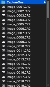 Captureone How To Convert Catalog Phots To Session