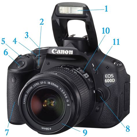 Cara Menggunakan Kamera Canon Untuk Pemula Manual