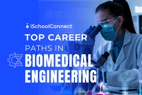 Career Opportunities In Biomedical Engineering