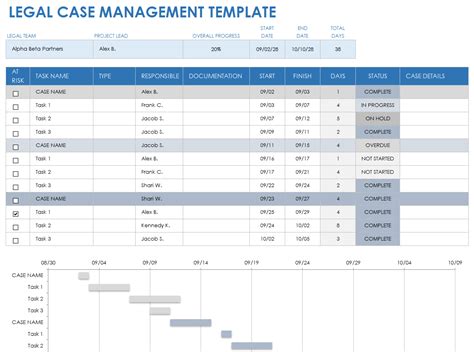 Case Management Templates Free