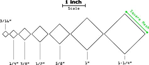 Cast Net Size Chart