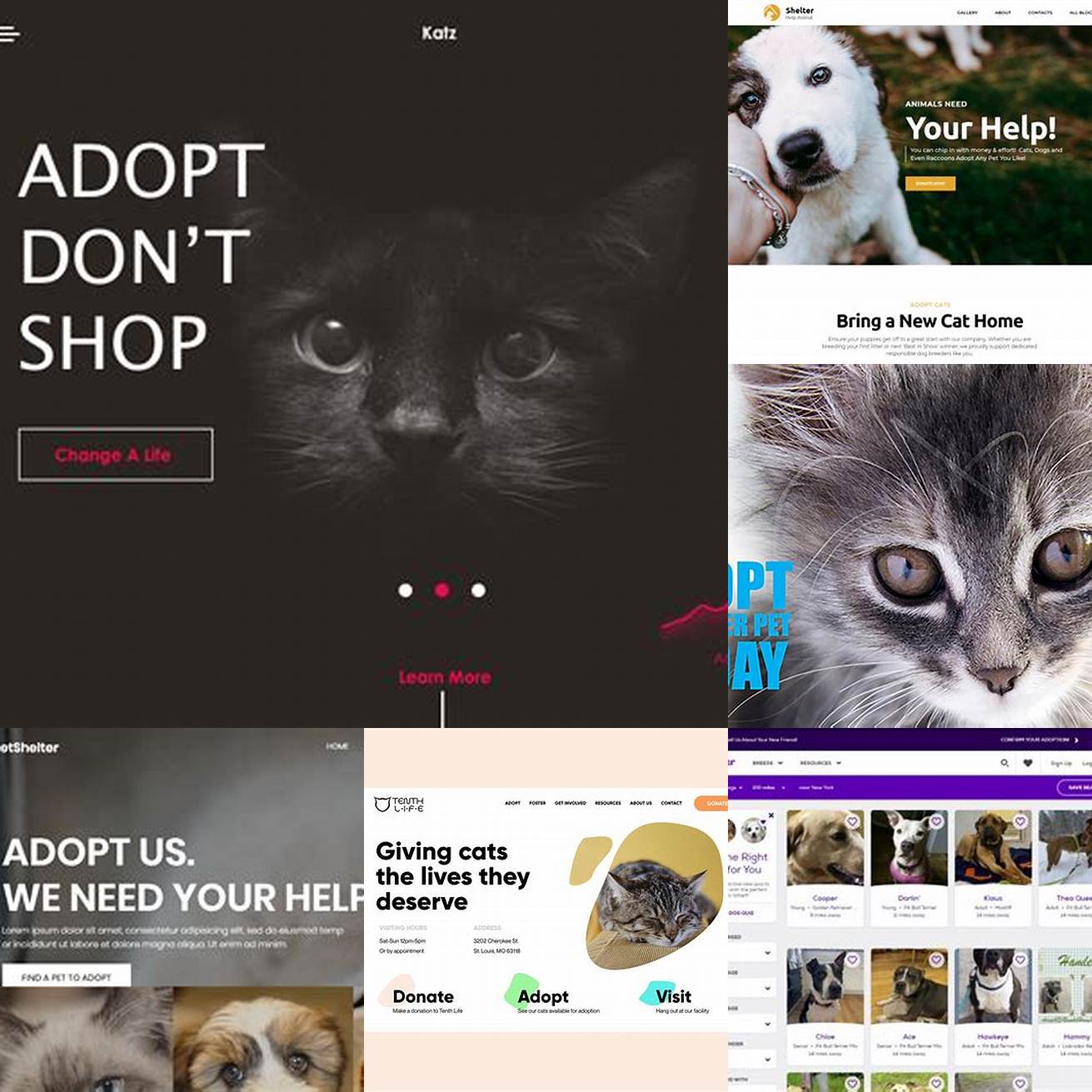 Cat Adoption Websites