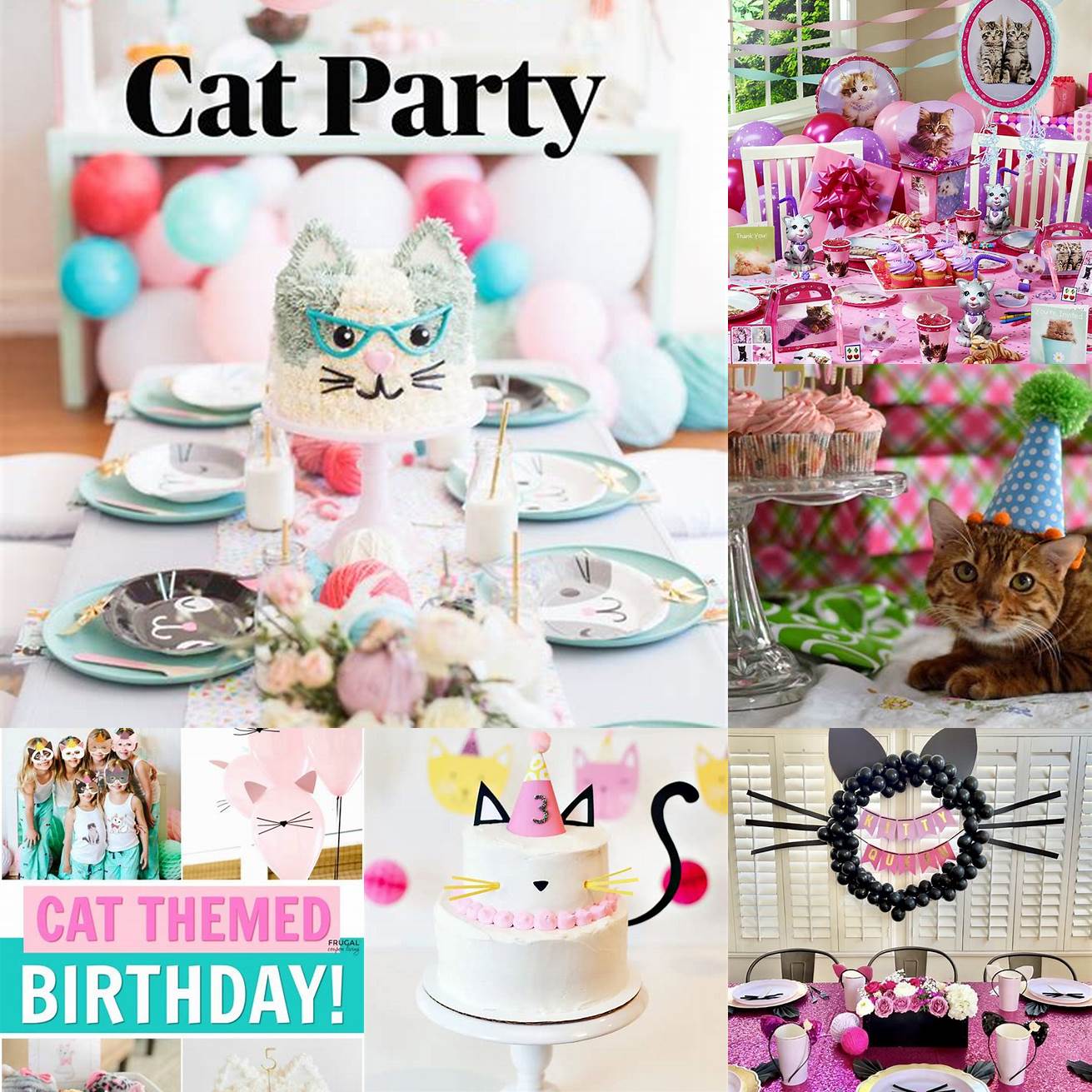 Cat Birthday Parties