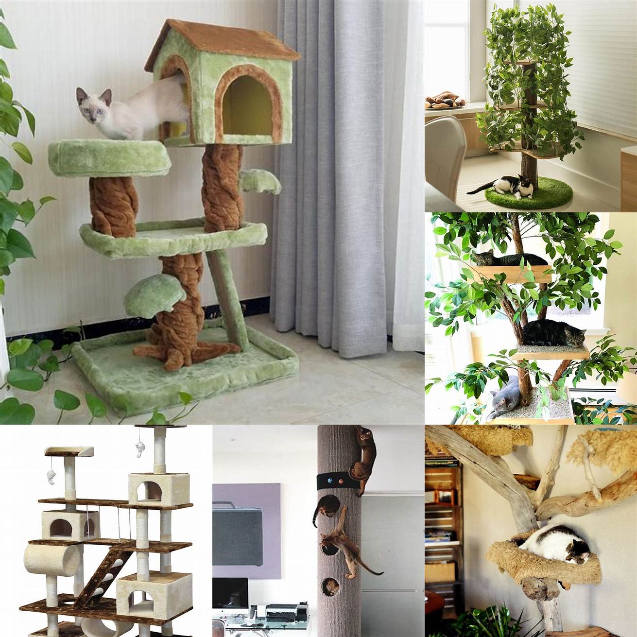 Cat House with a Climbing Tree