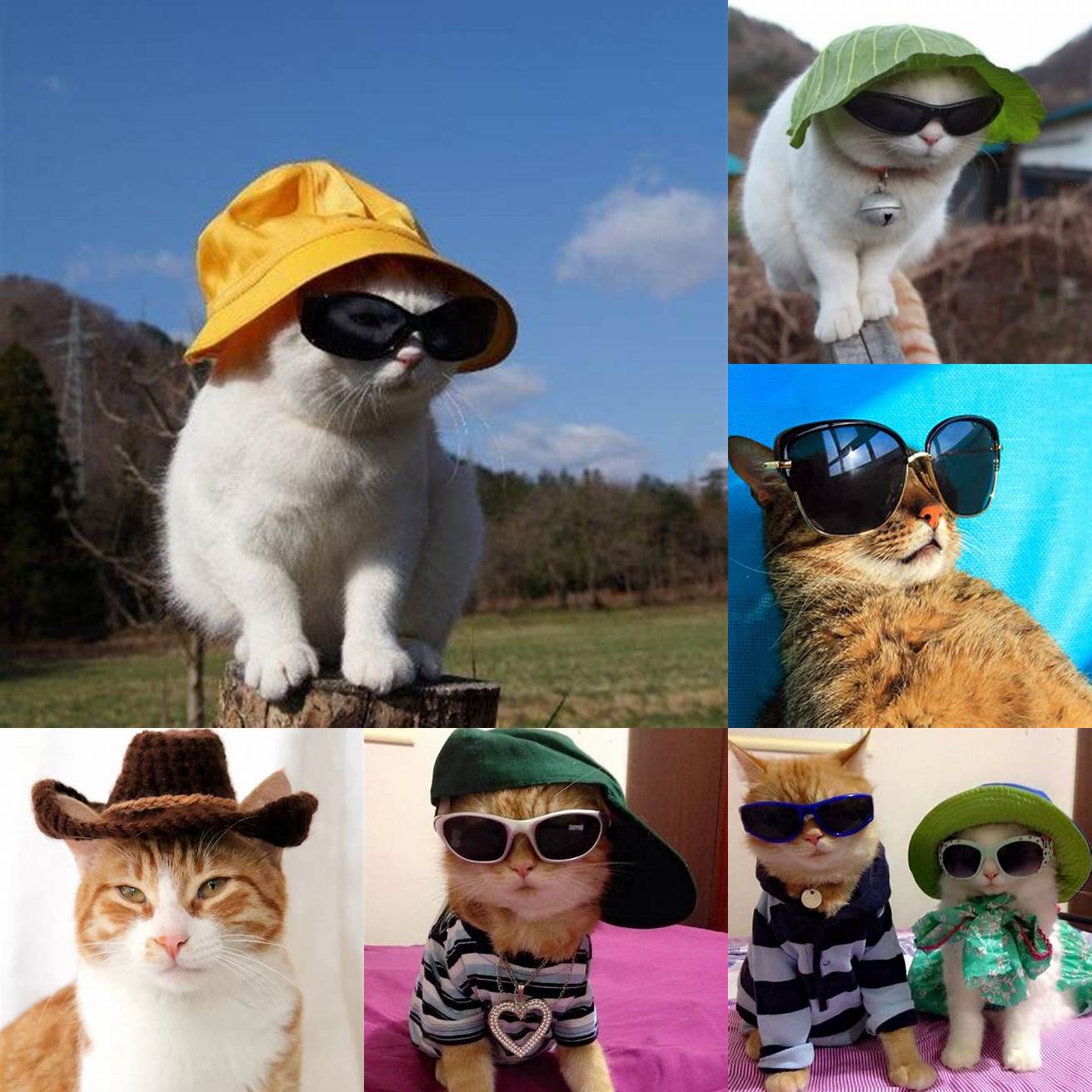 Cat Sun Hat