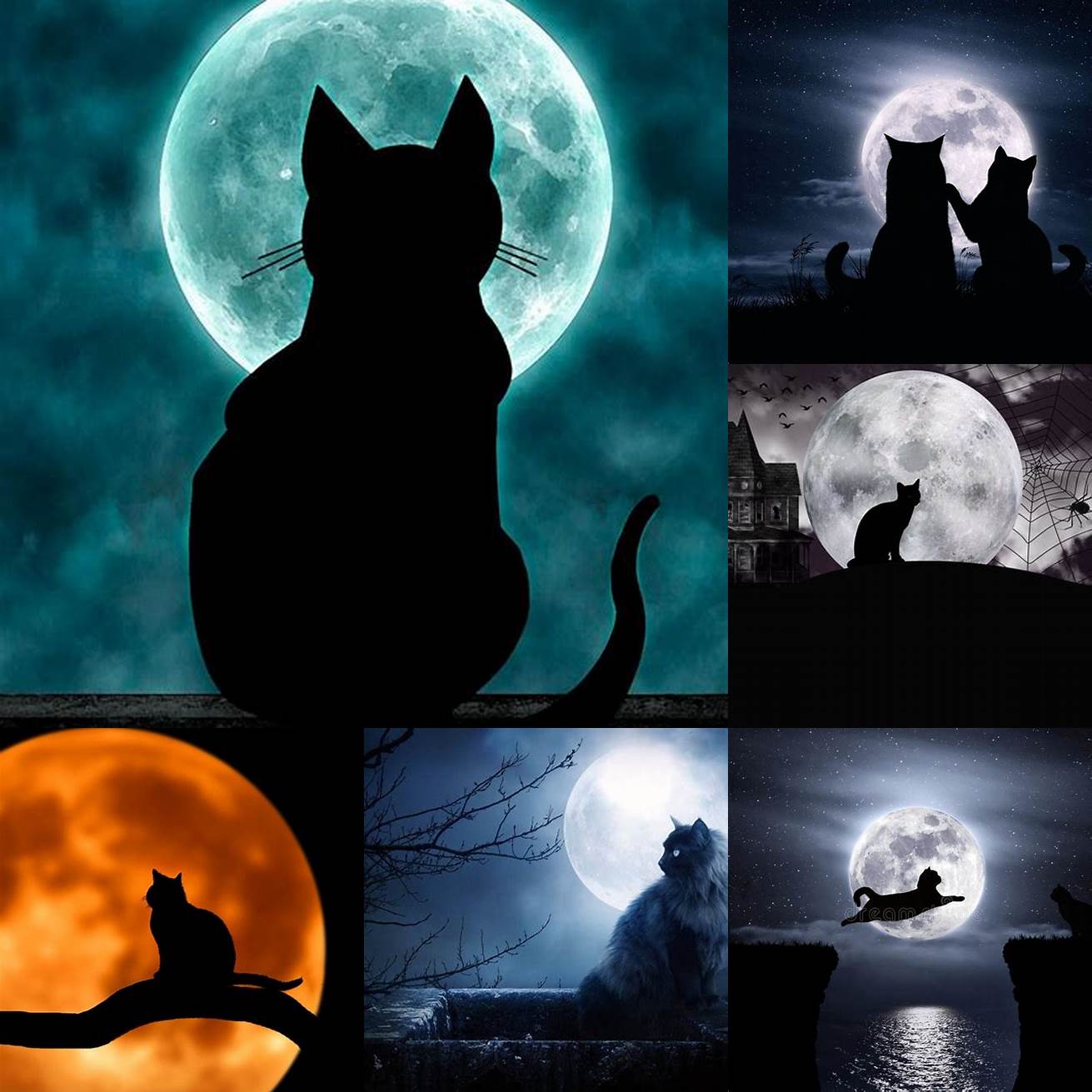 Cat and Moon
