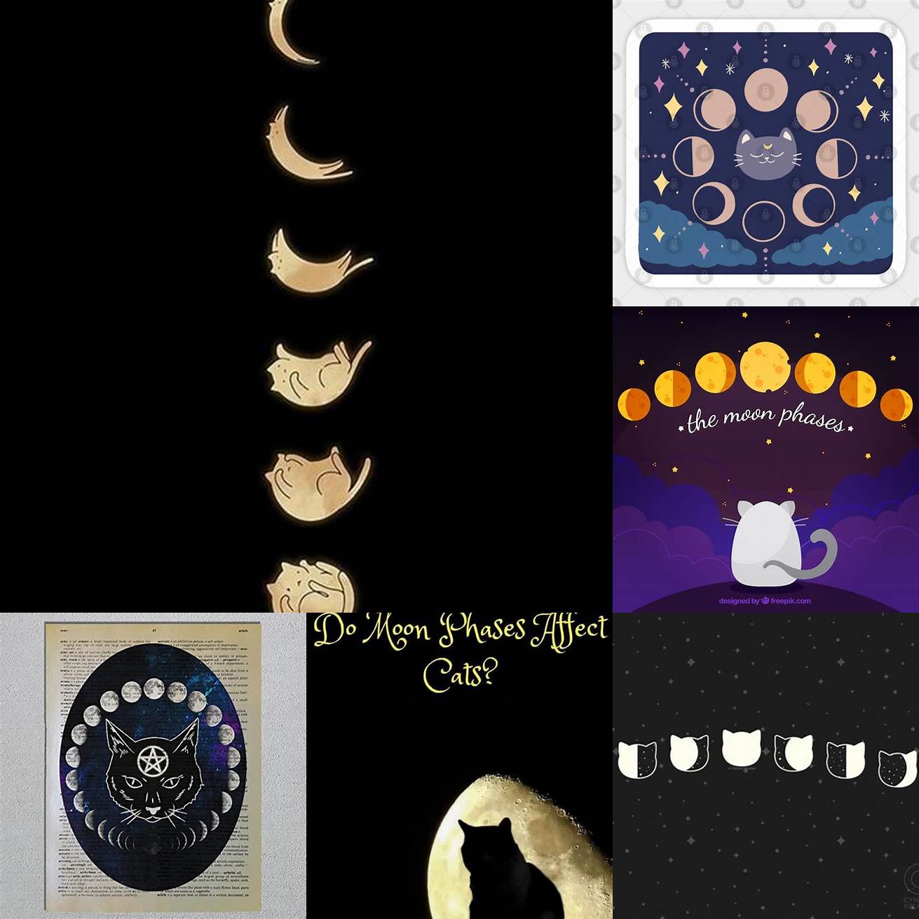Cat and moon phases