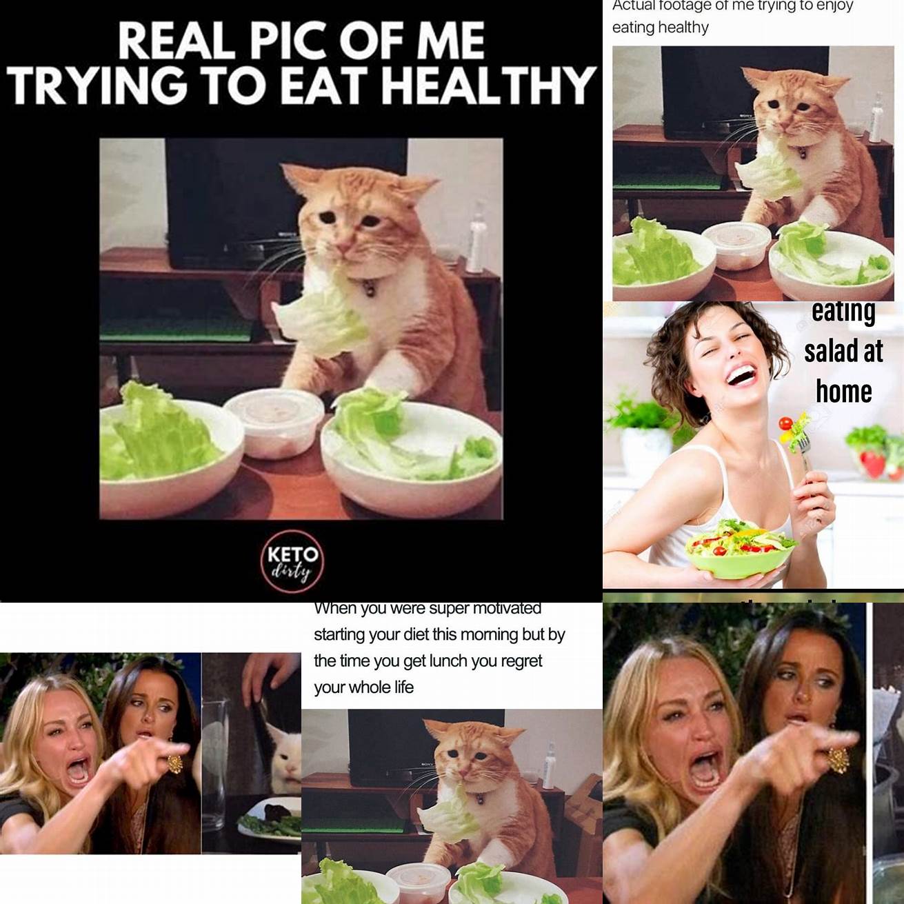 Cat and woman meme with the caption When youre trying to eat healthy but your friend brings pizza