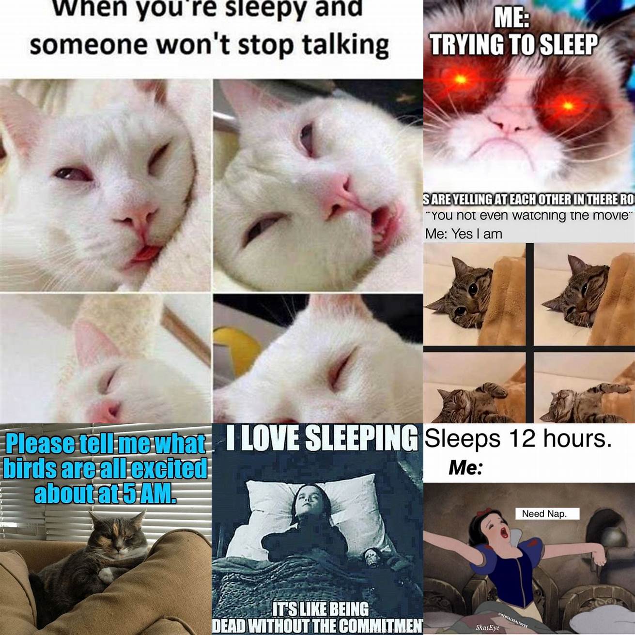 Cat and woman meme with the caption When youre trying to sleep but your mind wont shut up