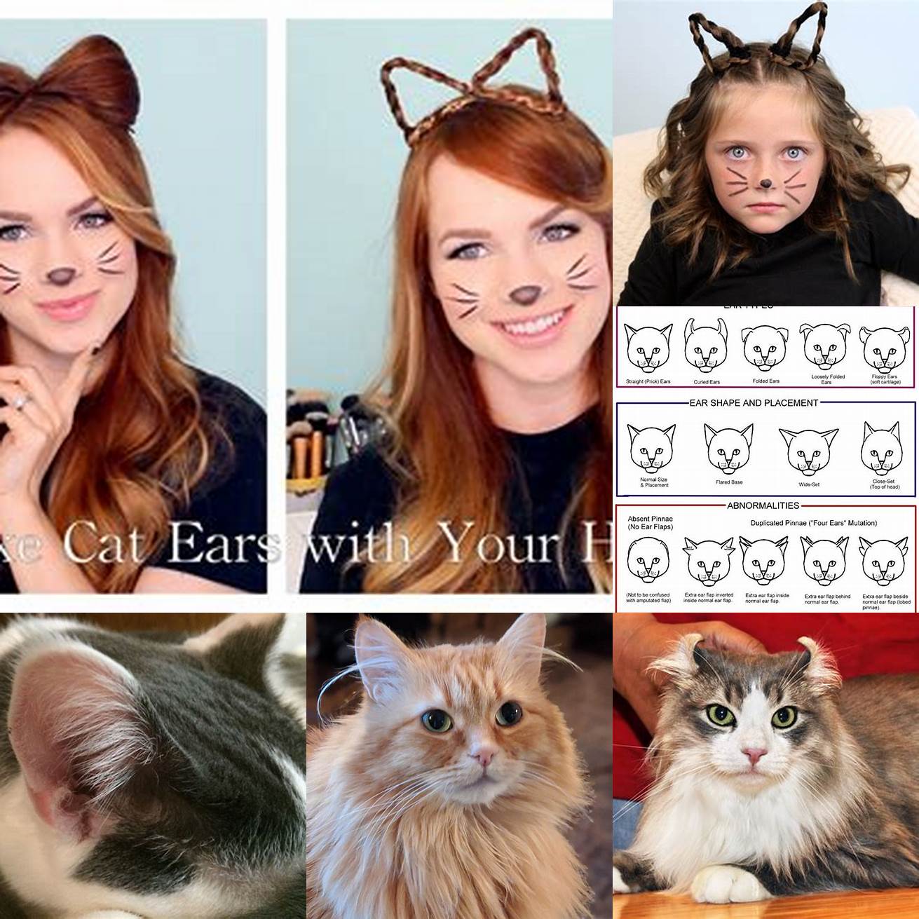 Cat ears with hair in different colors