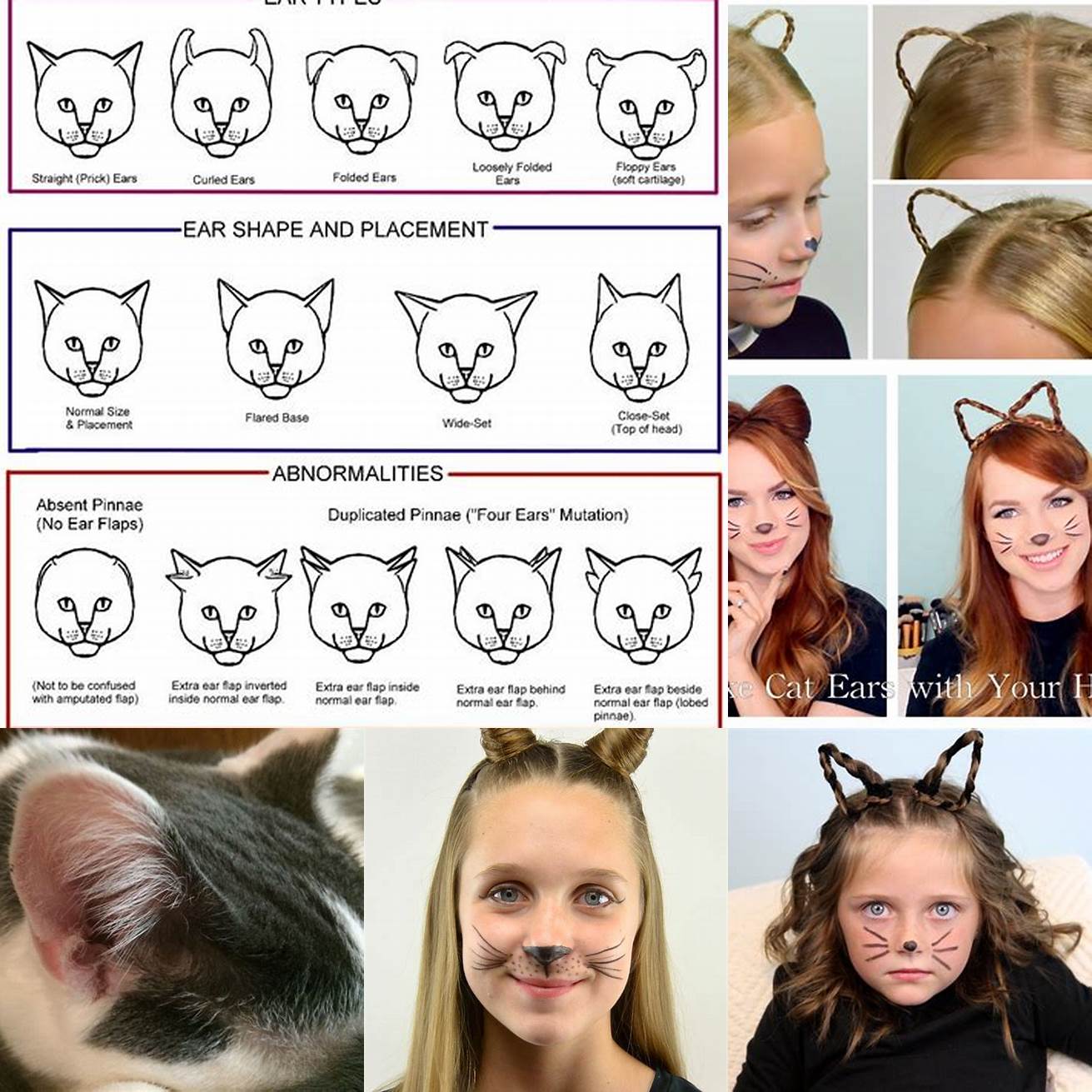 Cat ears with hair in different sizes