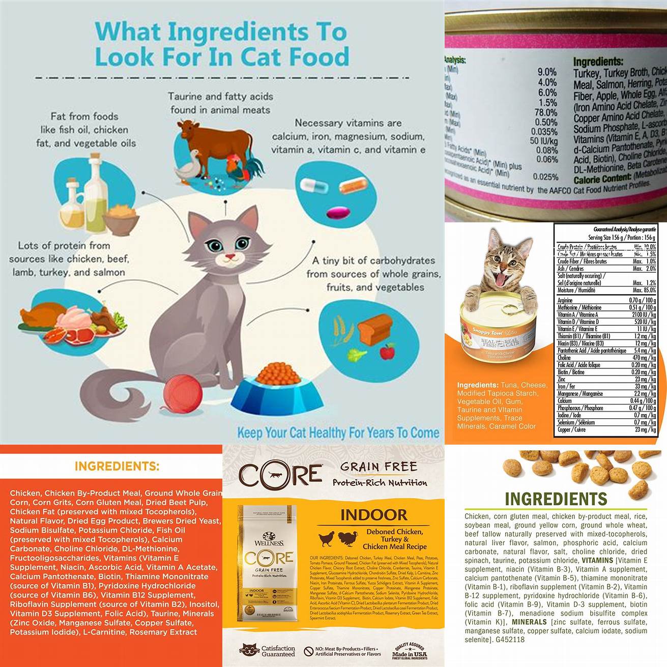 Cat food ingredients