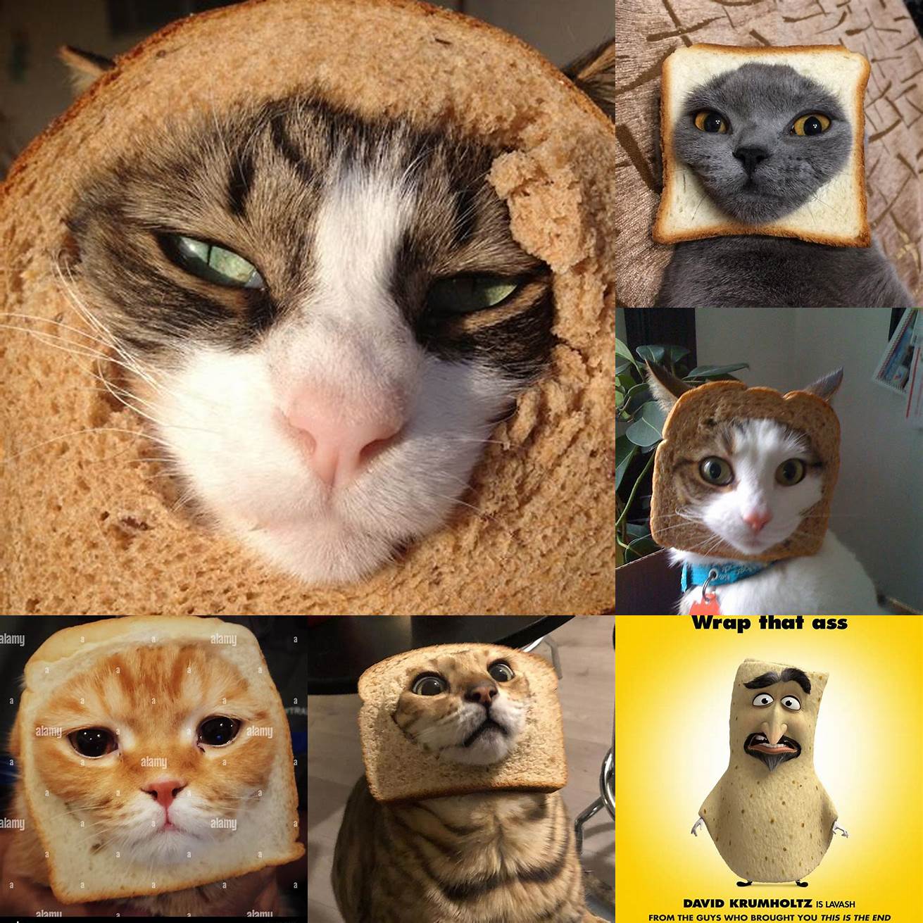 Cat in Bread as a movie poster