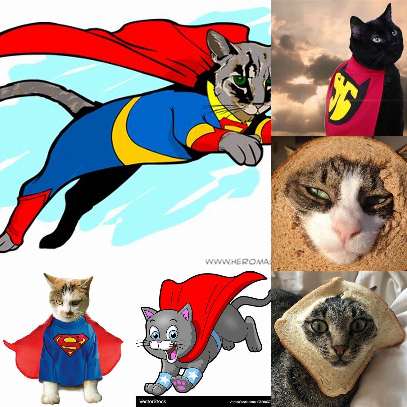 Cat in Bread as a superhero