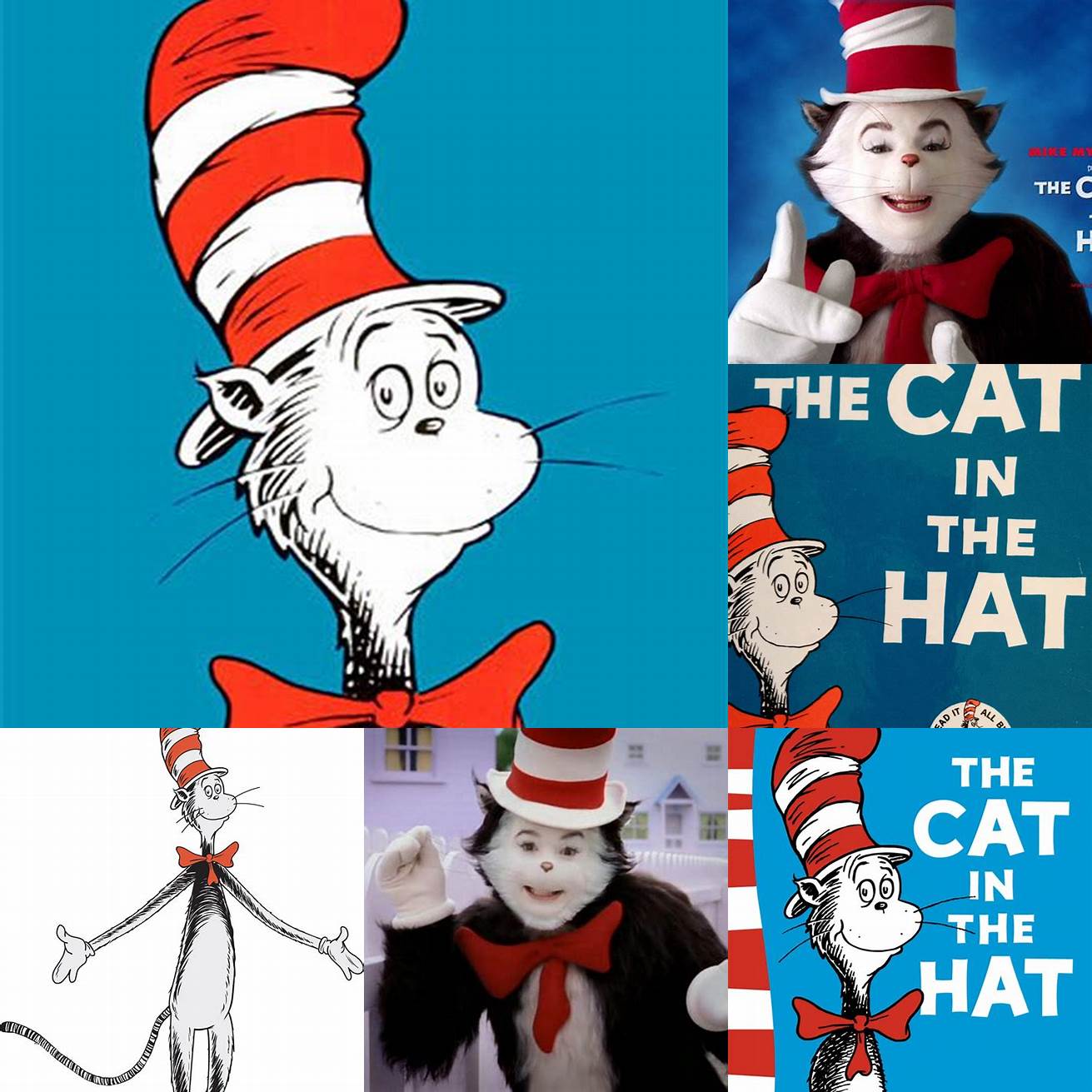 Cat in the Hat