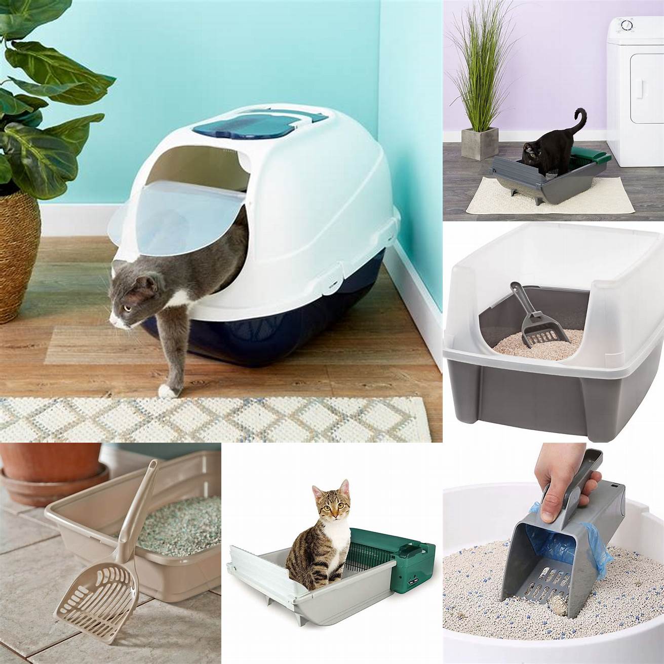 Cat litter box and scoop