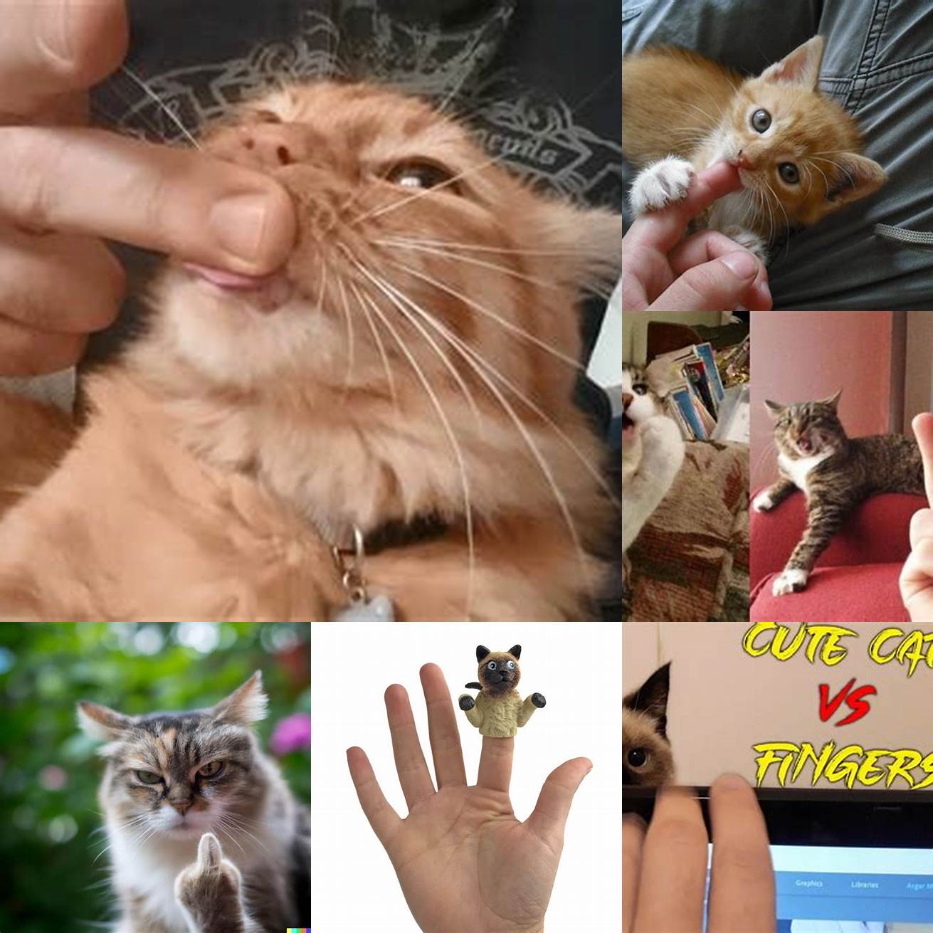 Cat with a toy giving the finger