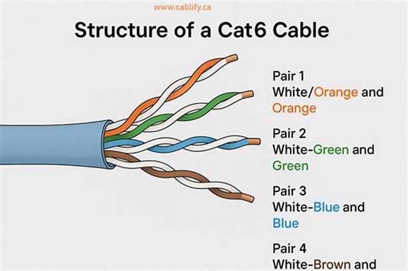 Cat 6 Color Pattern