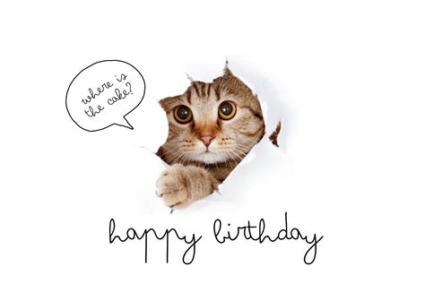 Cat Birthday Cards Free Printable